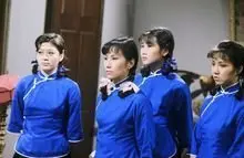 《满园春》：民国风情画卷，命运交织下的爱恨情仇与时代悲歌！