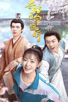 《奇妙的命运呀》：一场命中注定的邂逅？爆笑背后的真情与成长